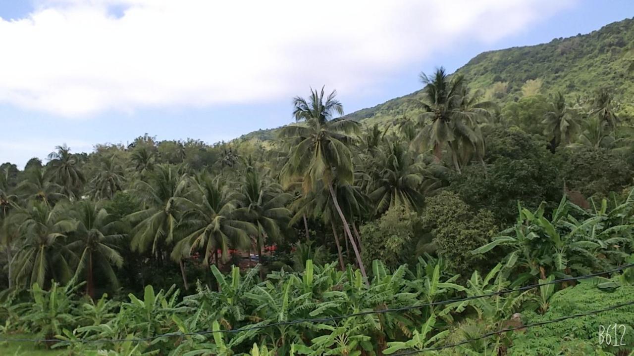 Homestay View Doi Hon Son Lai Son Bagian luar foto